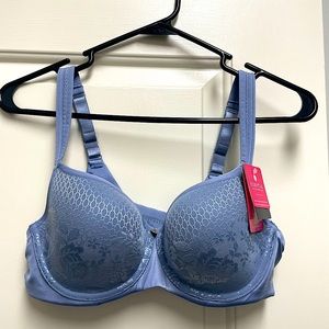 Beautiful blue lace limited edition essential bodywear Abby bra